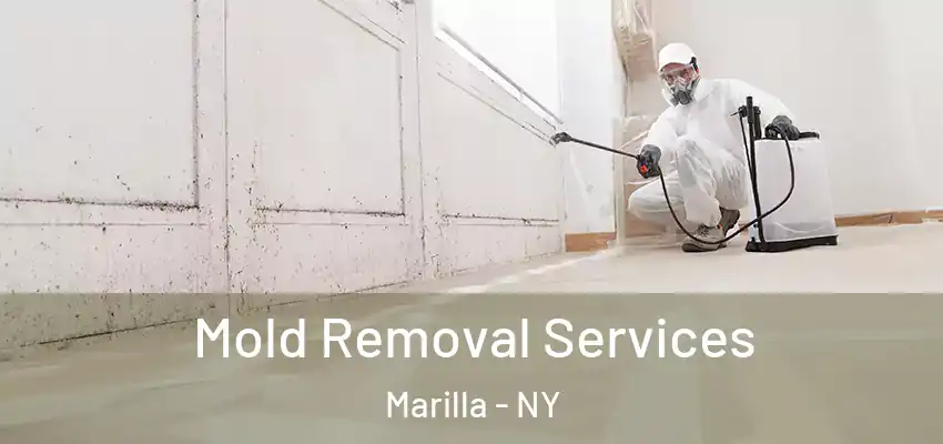  Mold Removal Services Marilla - NY