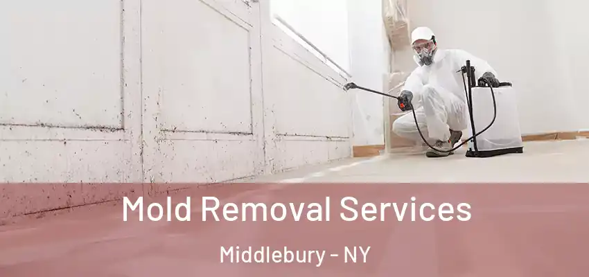 Mold Removal Services Middlebury - NY