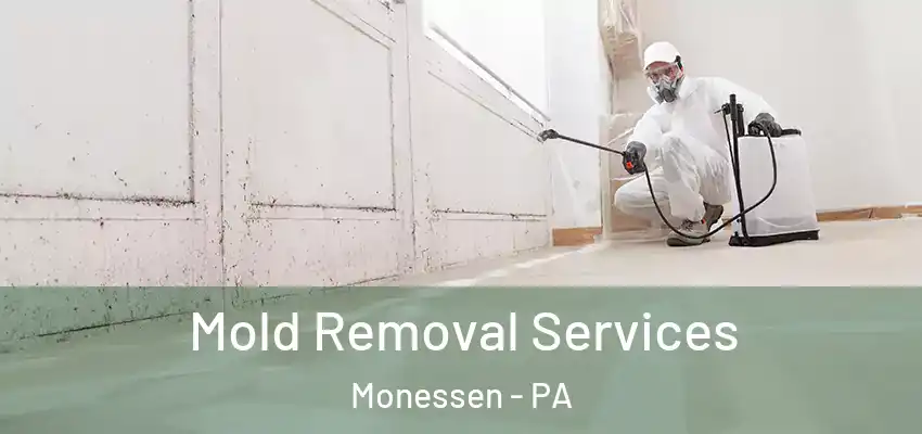  Mold Removal Services Monessen - PA