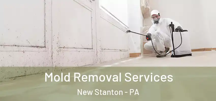 Mold Removal Services New Stanton - PA