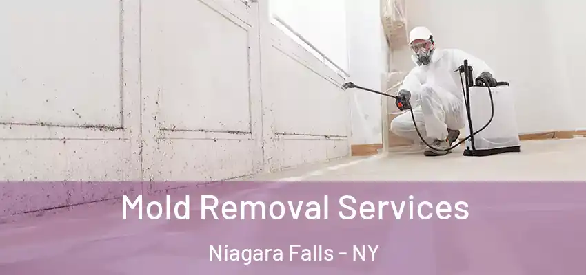  Mold Removal Services Niagara Falls - NY