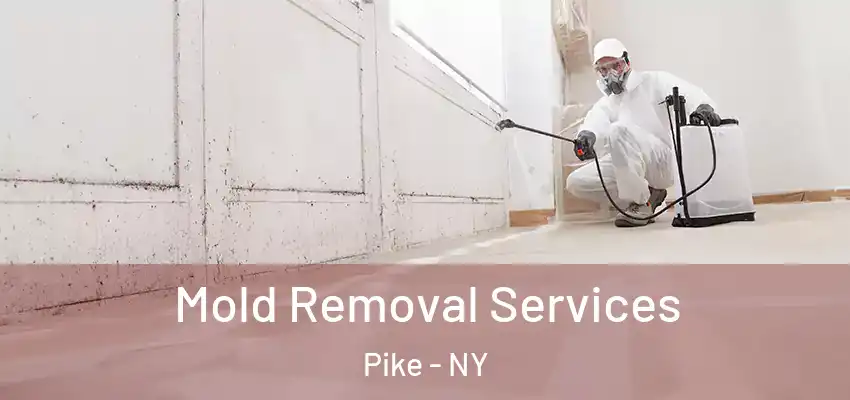  Mold Removal Services Pike - NY