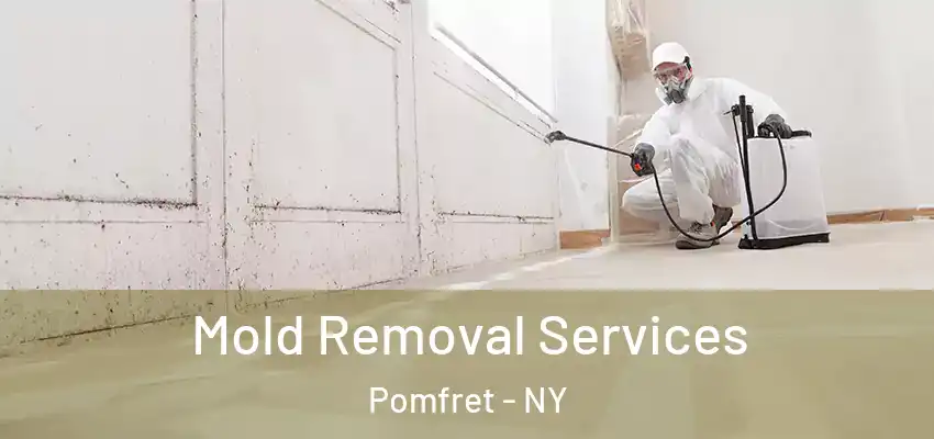  Mold Removal Services Pomfret - NY