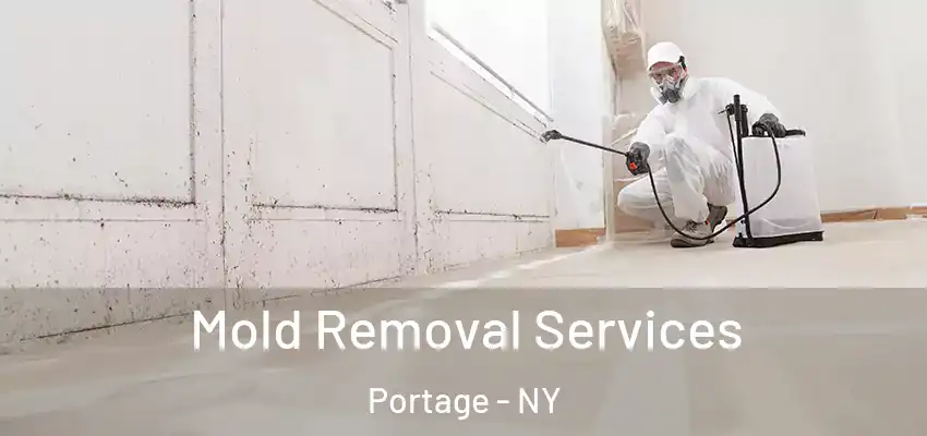  Mold Removal Services Portage - NY