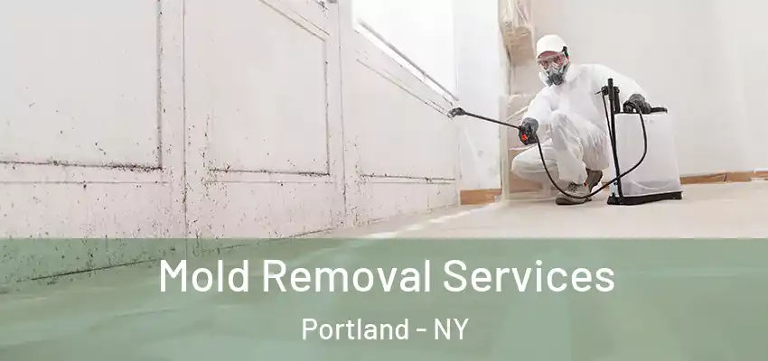  Mold Removal Services Portland - NY