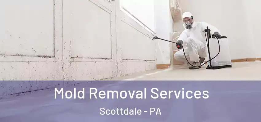  Mold Removal Services Scottdale - PA