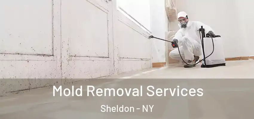 Mold Removal Services Sheldon - NY