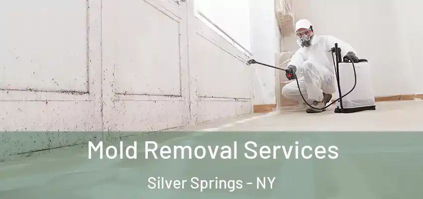  Mold Removal Services Silver Springs - NY