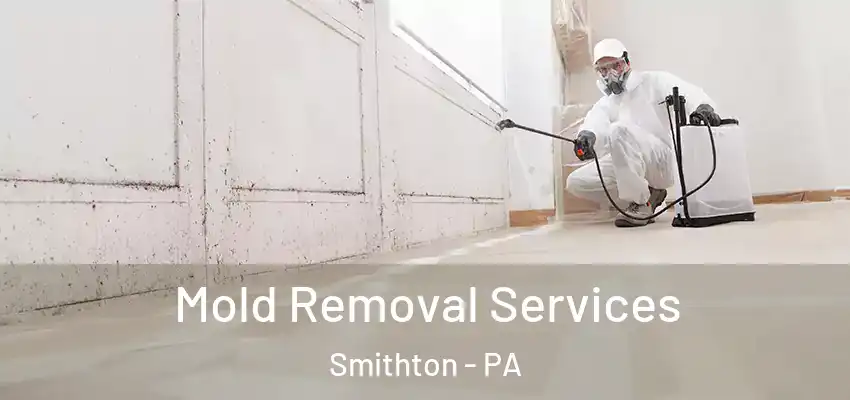  Mold Removal Services Smithton - PA