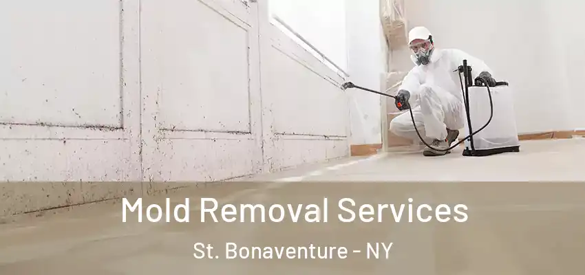  Mold Removal Services St. Bonaventure - NY