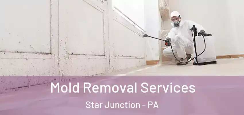  Mold Removal Services Star Junction - PA