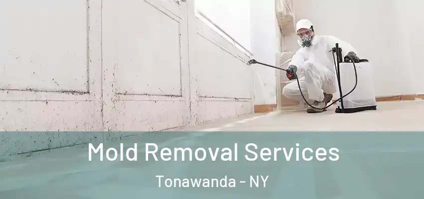  Mold Removal Services Tonawanda - NY