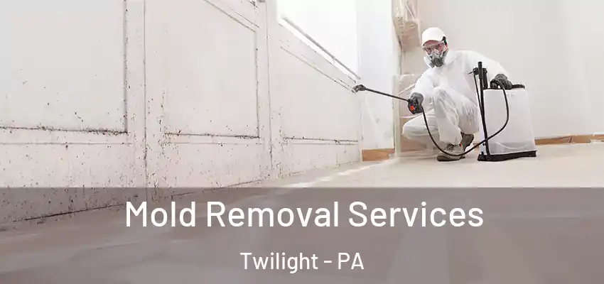  Mold Removal Services Twilight - PA