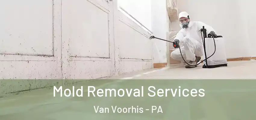  Mold Removal Services Van Voorhis - PA