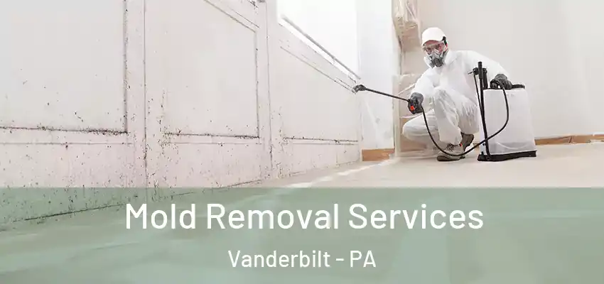  Mold Removal Services Vanderbilt - PA