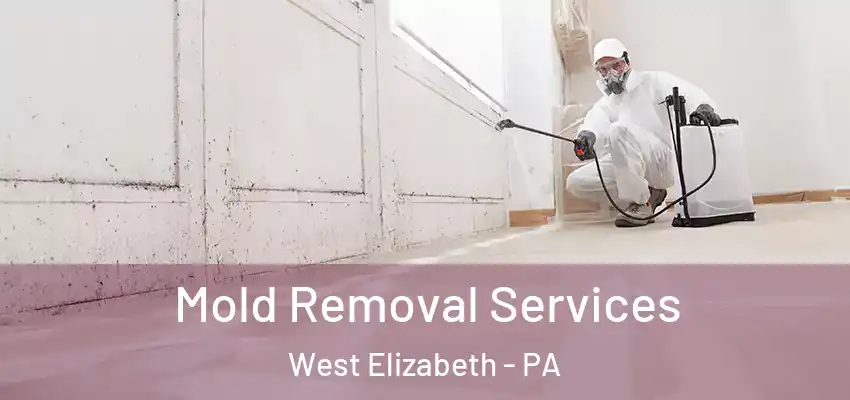  Mold Removal Services West Elizabeth - PA