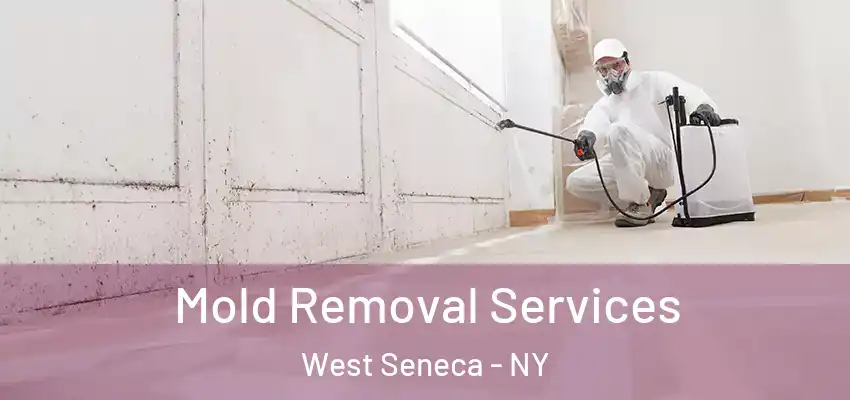  Mold Removal Services West Seneca - NY