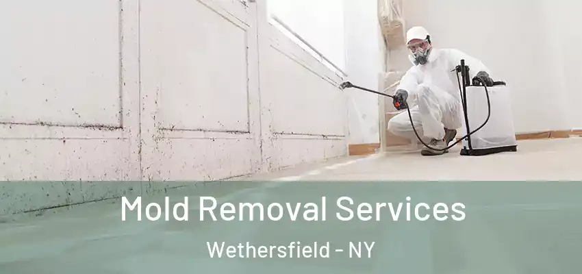  Mold Removal Services Wethersfield - NY