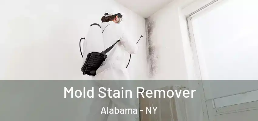  Mold Stain Remover Alabama - NY