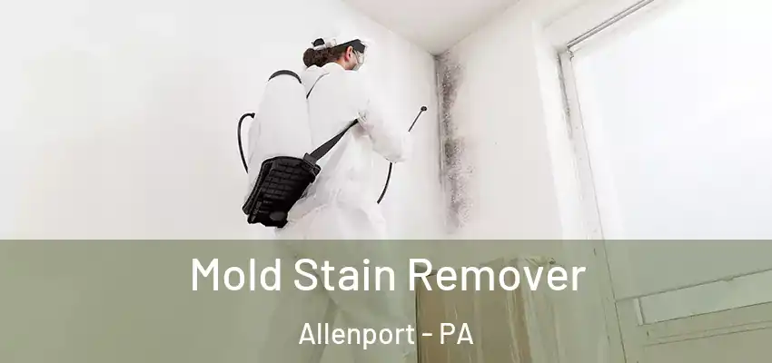  Mold Stain Remover Allenport - PA