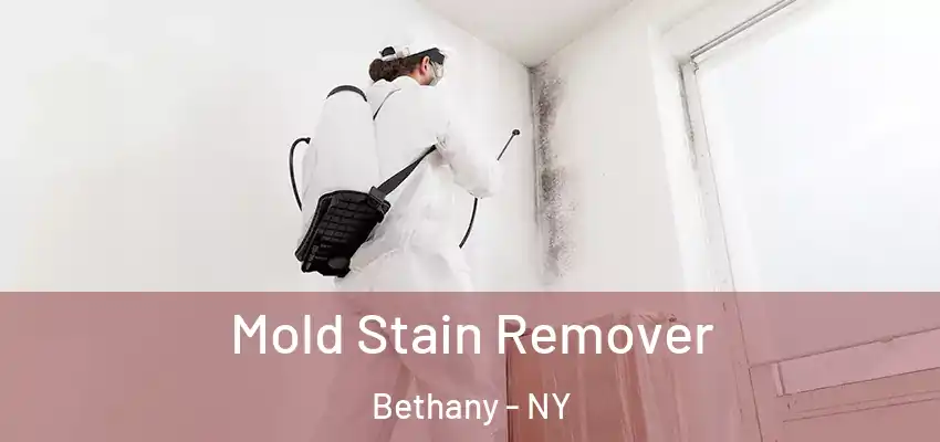 Mold Stain Remover Bethany - NY
