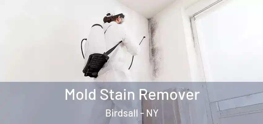  Mold Stain Remover Birdsall - NY