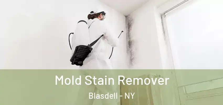  Mold Stain Remover Blasdell - NY