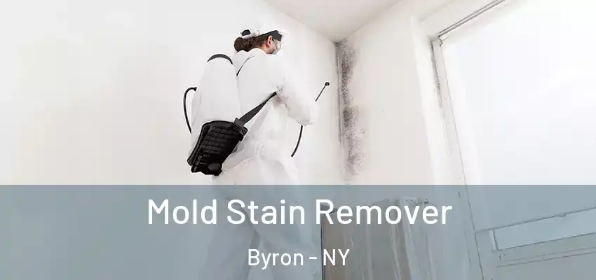  Mold Stain Remover Byron - NY