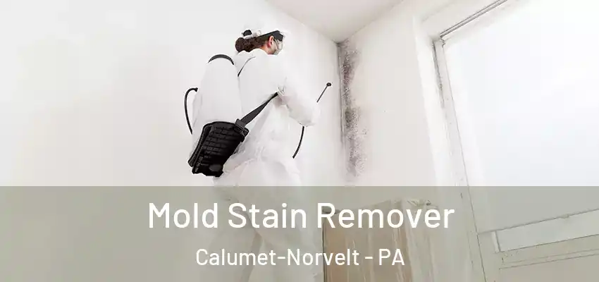  Mold Stain Remover Calumet-Norvelt - PA