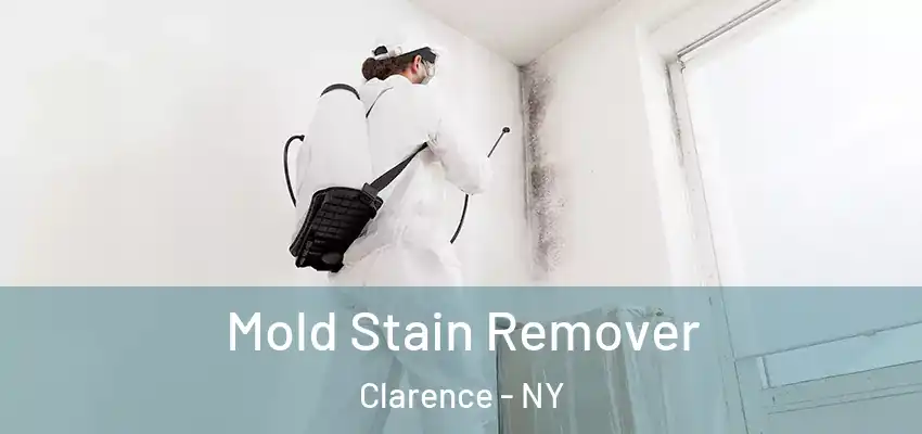  Mold Stain Remover Clarence - NY