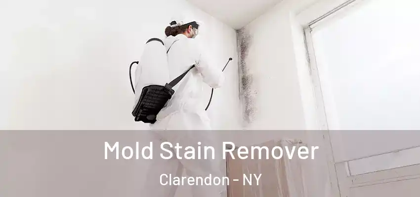  Mold Stain Remover Clarendon - NY