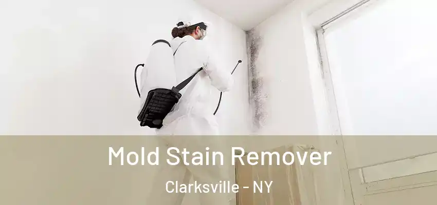 Mold Stain Remover Clarksville - NY