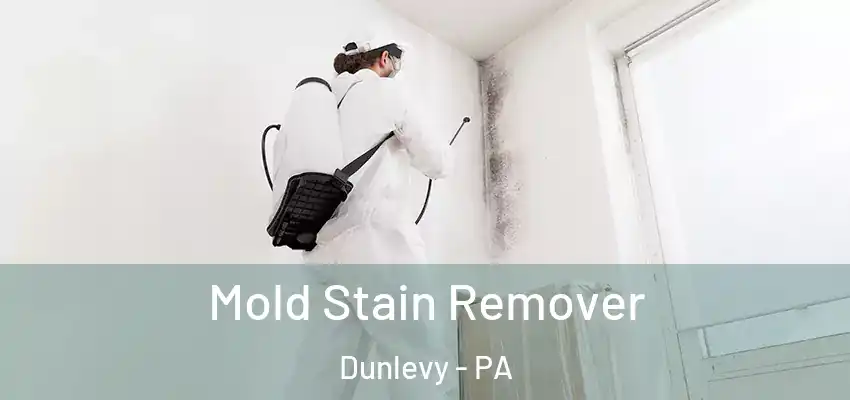  Mold Stain Remover Dunlevy - PA