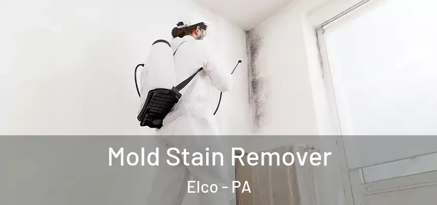  Mold Stain Remover Elco - PA