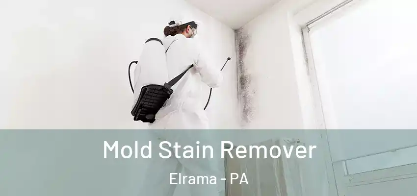  Mold Stain Remover Elrama - PA