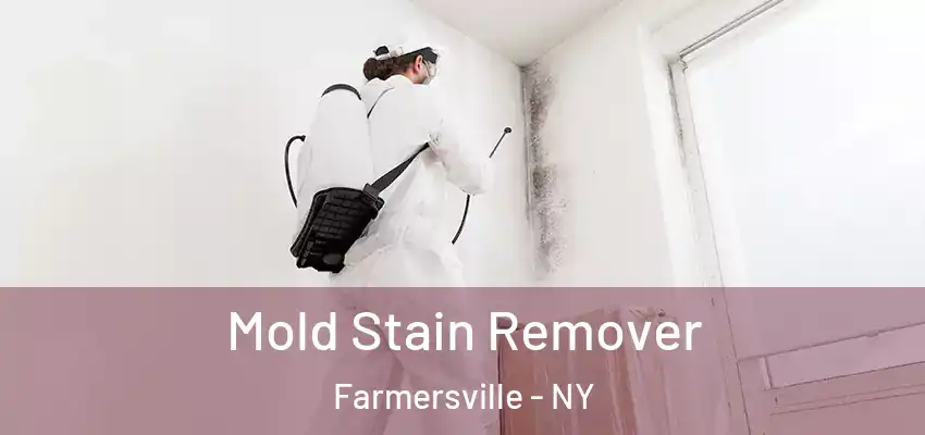  Mold Stain Remover Farmersville - NY