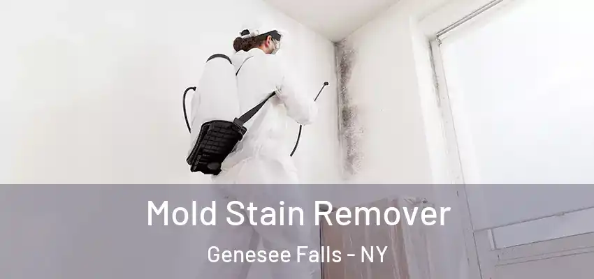  Mold Stain Remover Genesee Falls - NY