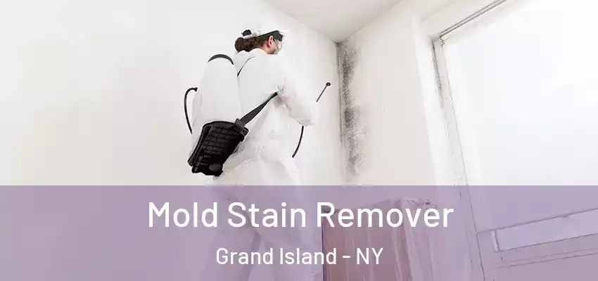  Mold Stain Remover Grand Island - NY