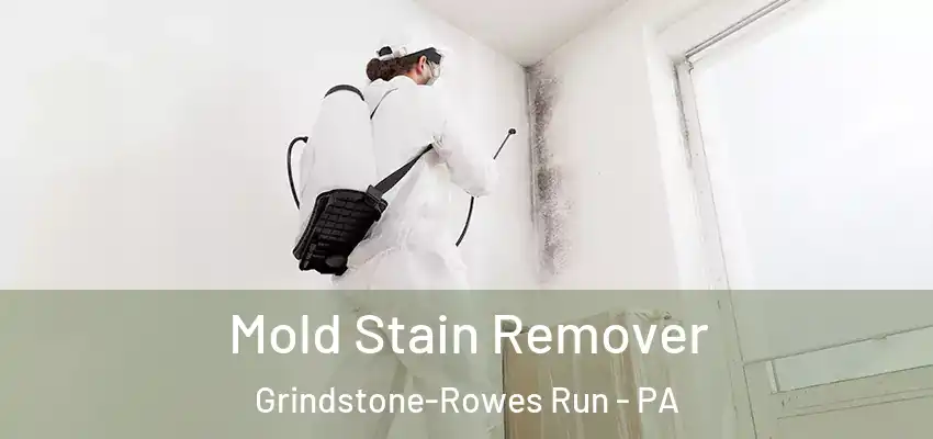 Mold Stain Remover Grindstone-Rowes Run - PA