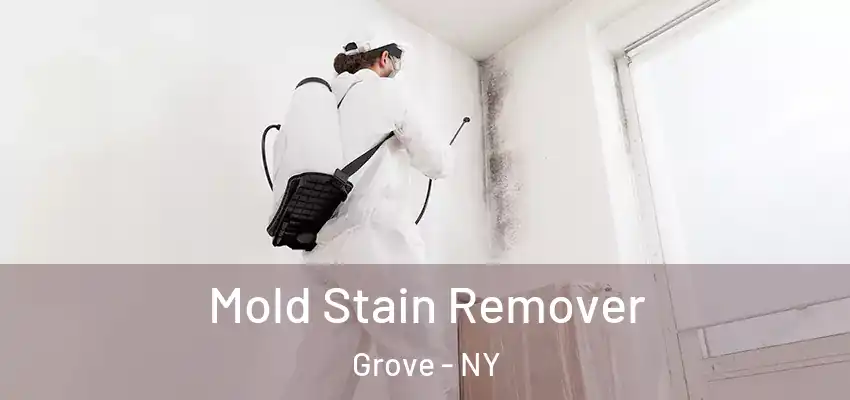  Mold Stain Remover Grove - NY
