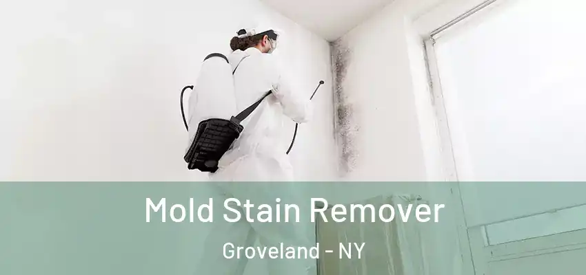  Mold Stain Remover Groveland - NY