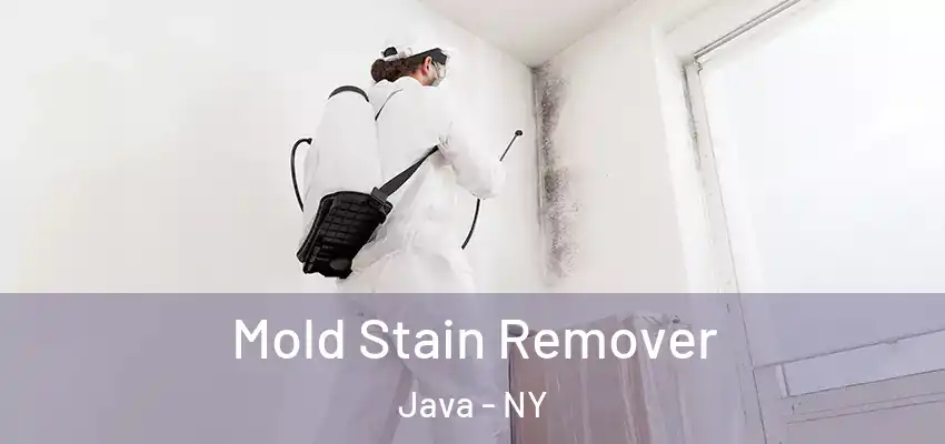 Mold Stain Remover Java - NY