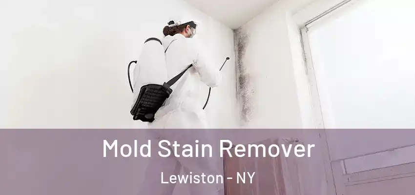  Mold Stain Remover Lewiston - NY