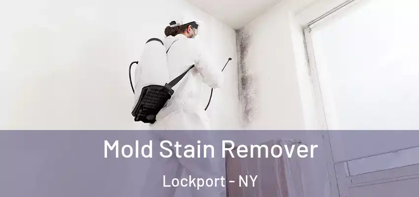  Mold Stain Remover Lockport - NY