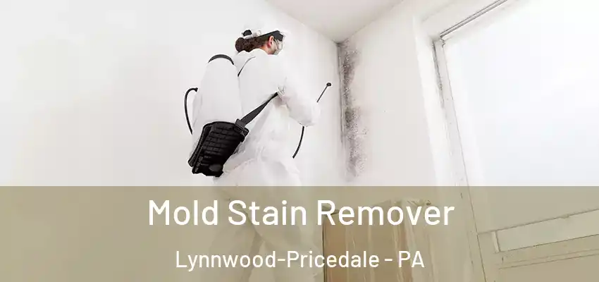 Mold Stain Remover Lynnwood-Pricedale - PA