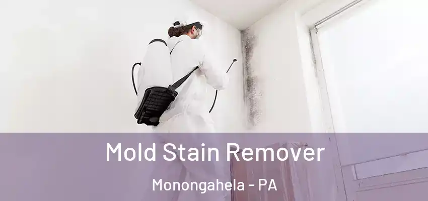  Mold Stain Remover Monongahela - PA