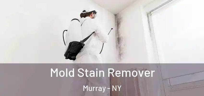  Mold Stain Remover Murray - NY