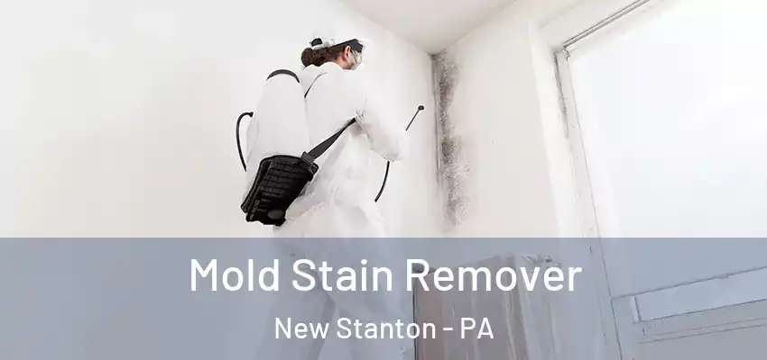  Mold Stain Remover New Stanton - PA