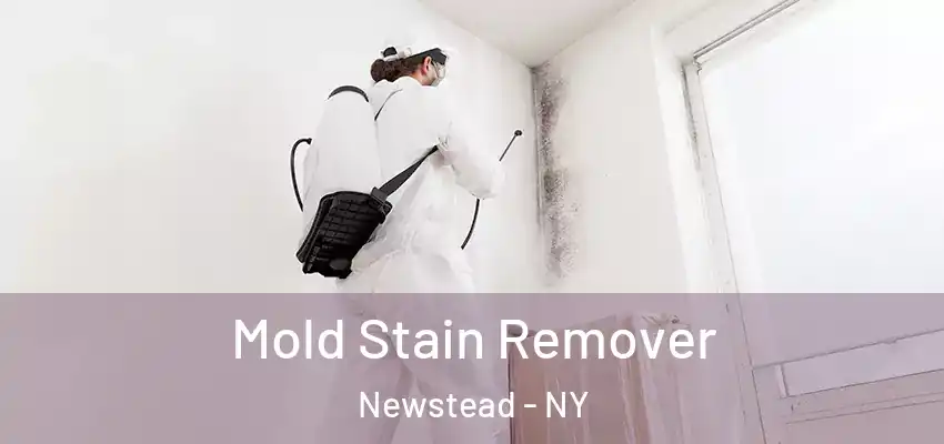 Mold Stain Remover Newstead - NY