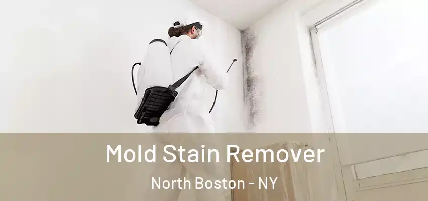  Mold Stain Remover North Boston - NY